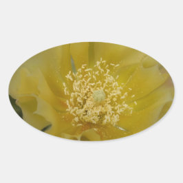 Pegatina Ovalada Cactus Amarillo en Flor