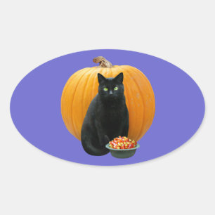 Pegatina Ovalada Calabaza para gato negro