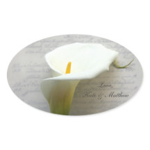 Calla lily escribe a mano antigua