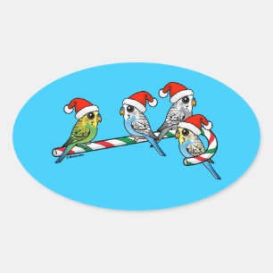Pegatina Ovalada Candy Cane Santa Budgies