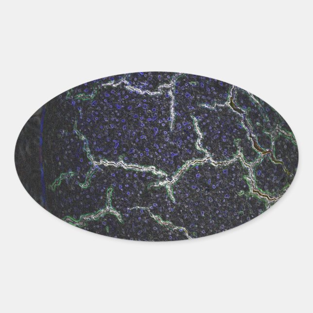 Pegatina Ovalada caparazón (Anverso)