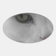 Cara de gatos negros y blancos