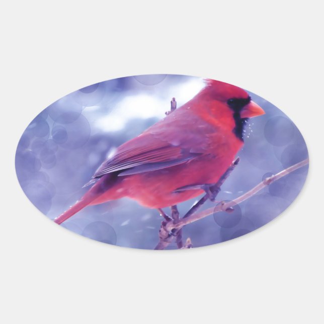 Pegatina Ovalada Cardenal rojo en Blizzard (Anverso)
