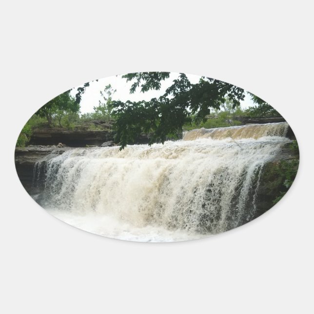 Pegatina Ovalada Cascada (Anverso)