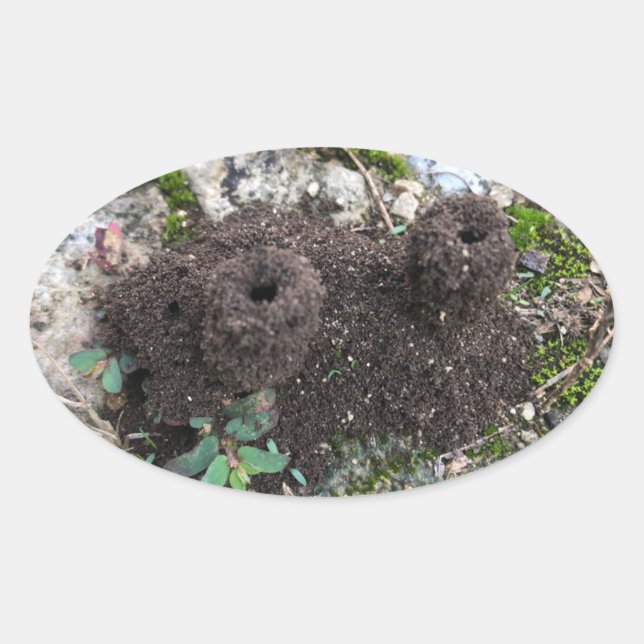 Pegatina Ovalada Castillo de Ant (Anverso)