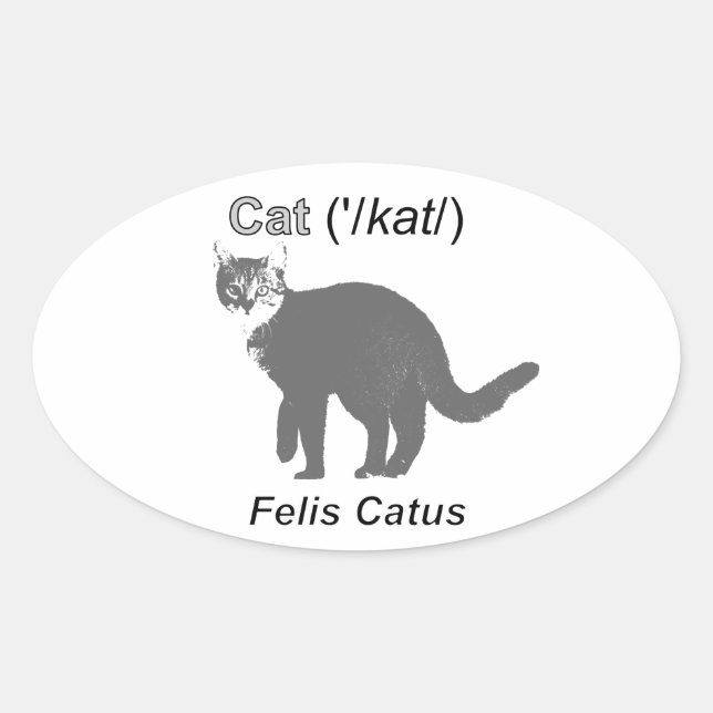Pegatina Ovalada Cat Felis Catus (Anverso)