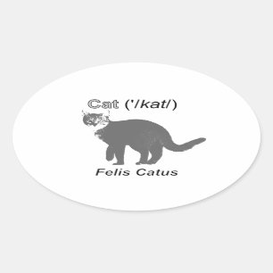 Pegatina Ovalada Cat Felis Catus