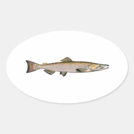 Pegatina Ovalada Chinook - King Salmon (fase de desove)