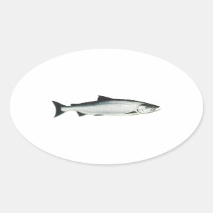 Pegatina Ovalada Chinook - Rey Salmón