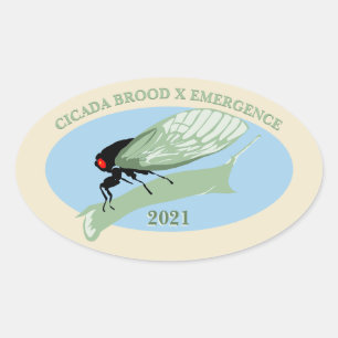 Pegatina Ovalada Cicada Brood X Emergence 2021