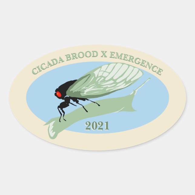 Pegatina Ovalada Cicada Brood X Emergence 2021 (Anverso)