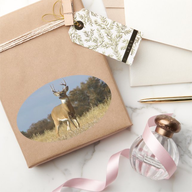 Pegatina Ovalada Ciervo de cola blanca de otoño (Regalar)