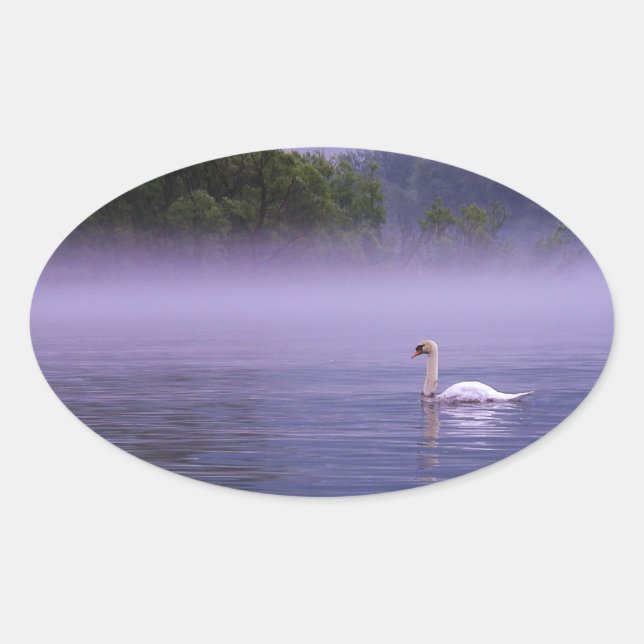 Pegatina Ovalada Cisne en el lago (Anverso)