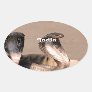 Pegatina Ovalada Cobra de la India