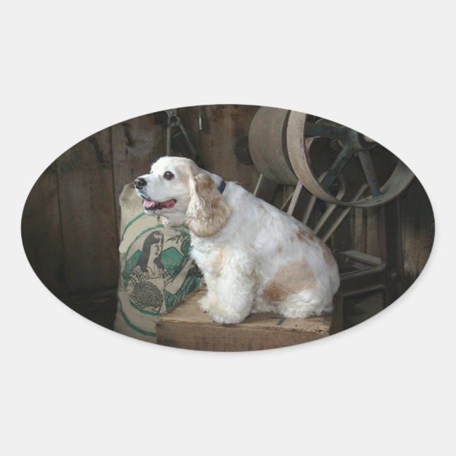 Pegatina Ovalada cocker spaniel americano sentado (Anverso)