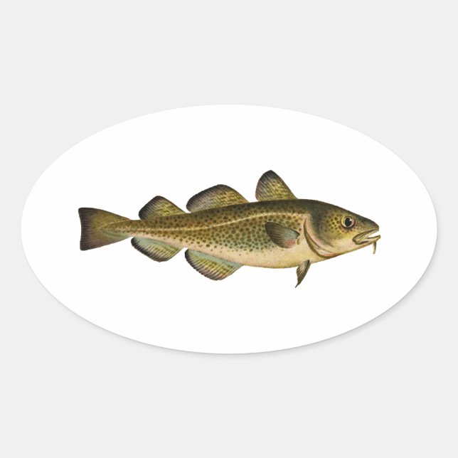 Pegatina Ovalada Cod Atlántico (Anverso)