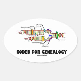Pegatina Ovalada Código Para Genealogía (Replicación De ADN)