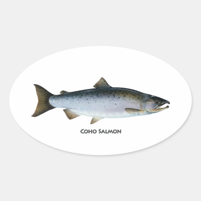 Pegatina Ovalada Coho Salmon (Anverso)
