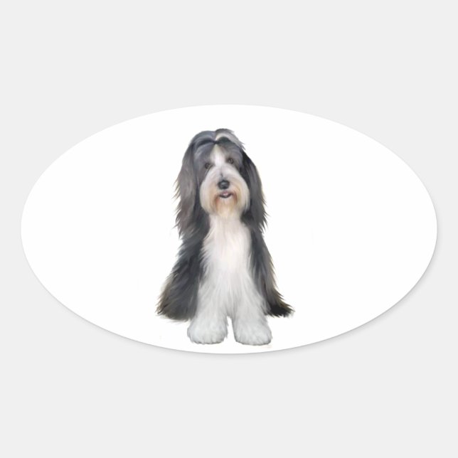Pegatina Ovalada Collie barbudo (D) - Pizarra y blanco (Anverso)