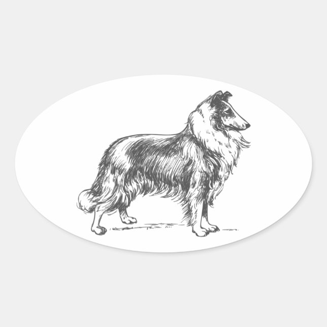 Pegatina Ovalada Collie Dog (Anverso)