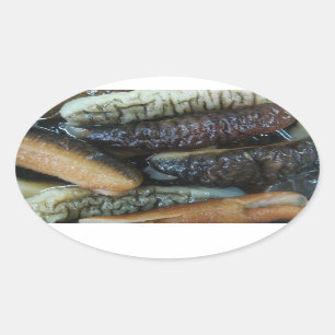 Pegatina Ovalada Comida del mercado de Yaowarat del pepino de mar