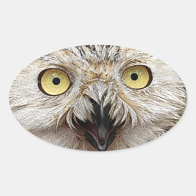 Pegatina Ovalada ¿Cómo Estás? Owl ¿Quién Eres? (Anverso)