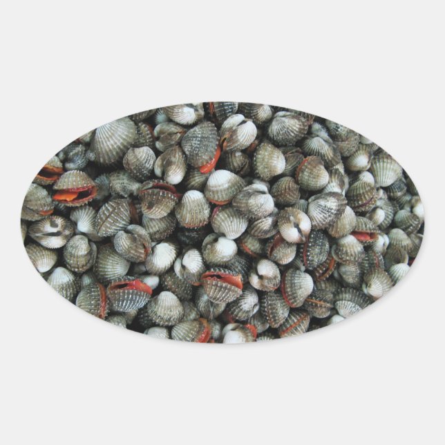Pegatina Ovalada Conchas de cucarachas de sangre (Anverso)