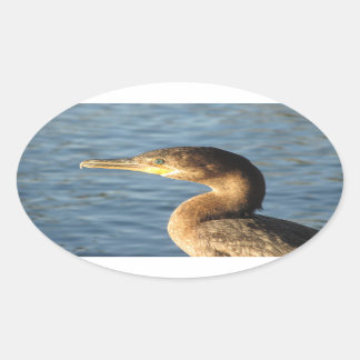 Pegatina Ovalada Cormorán de Neotropic