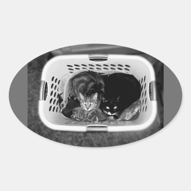 Pegatina Ovalada Cristales de la cesta (Anverso)