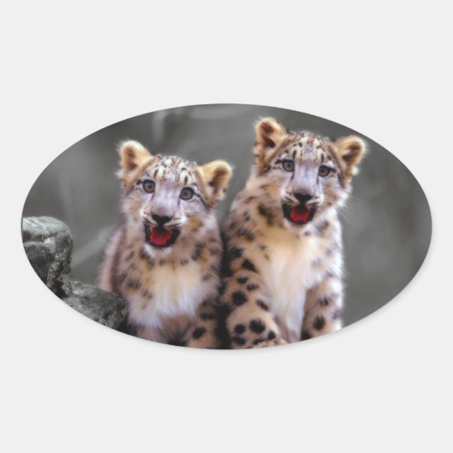 Pegatina Ovalada Cubs de leopardo de la nieve (Anverso)