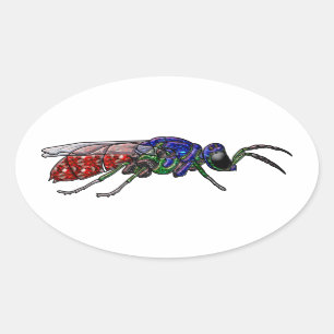 Pegatina Ovalada Cuckoo Wasp