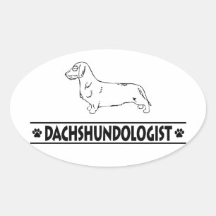 Pegatina Ovalada Dachshund Humorístico de Pelo Duro