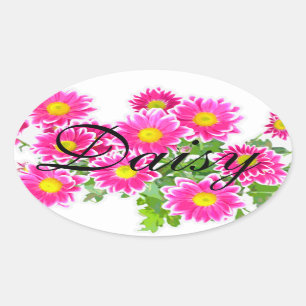 Pegatina Ovalada Daisies rosados / Asters Bouquet + tus ideas