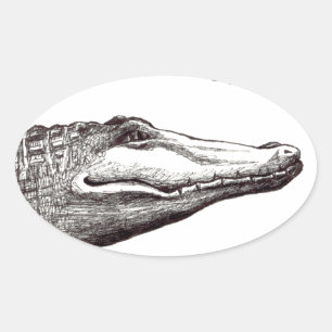 Pegatina Ovalada Dibujo artístico divertido del cocodrilo del ligad