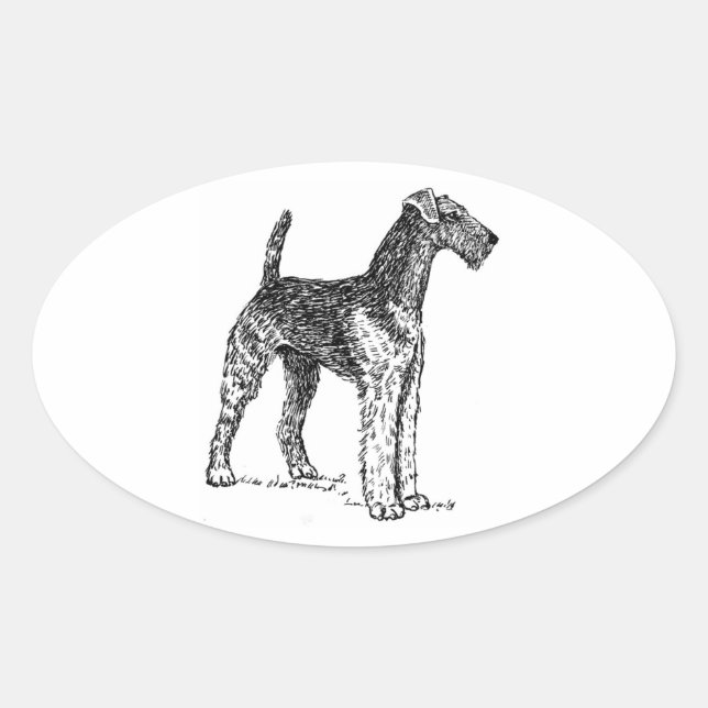 Pegatina Ovalada Dibujo de Airedale.png (Anverso)