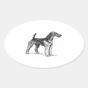 Pegatina Ovalada Dibujo de Airedale.png