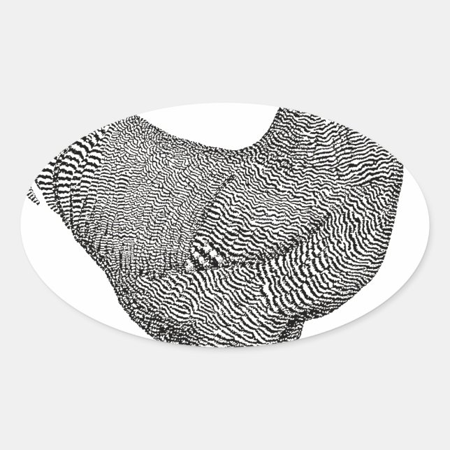 Pegatina Ovalada Dibujo de pollo en la roca de Plymouth (Anverso)