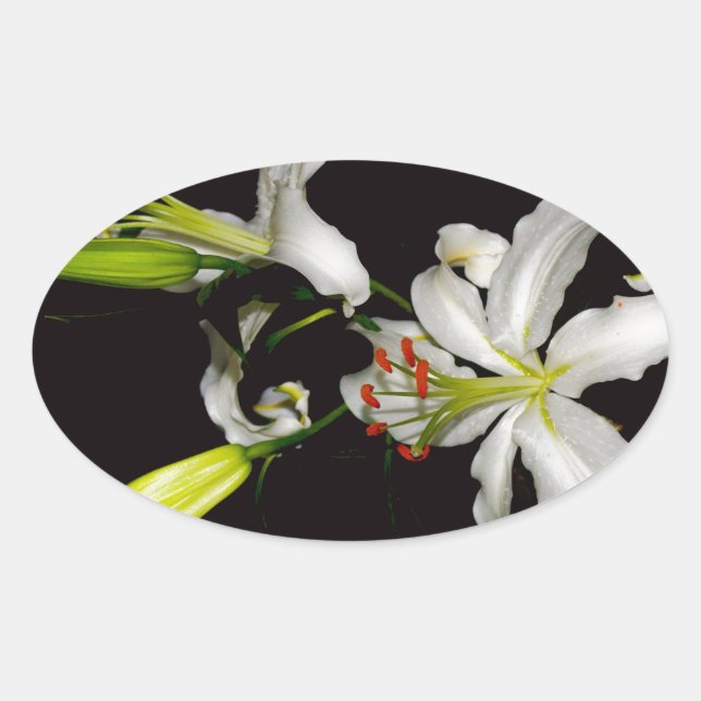 Pegatina Ovalada Diseño irlandés - Colección de bronce y flores (Anverso)