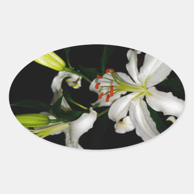 Pegatina Ovalada Diseño irlandés - Colección de flores (Anverso)