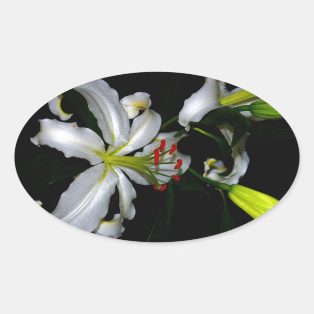 Pegatina Ovalada Diseño irlandés de Brass y Flores (Anverso)