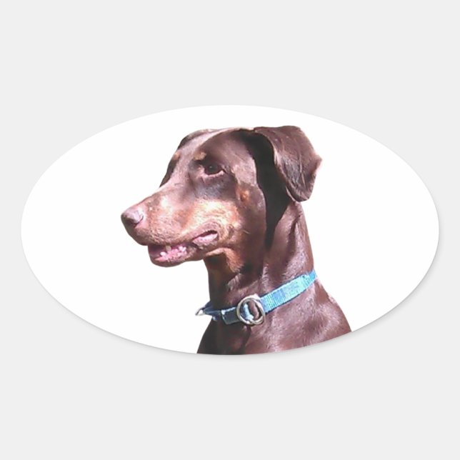 Pegatina Ovalada Doberman Pinscher Red (Anverso)