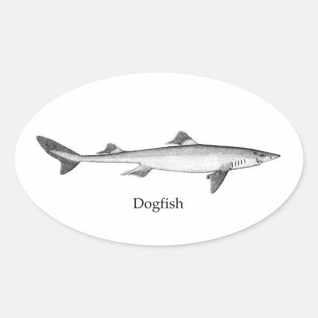 Pegatina Ovalada Dogfish (línea art. (Anverso)