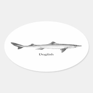 Pegatina Ovalada Dogfish (línea art.