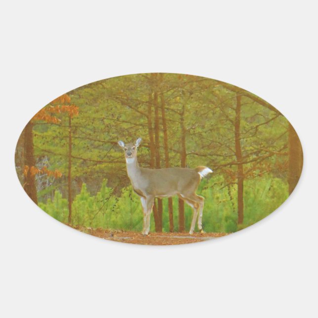 PEGATINA OVALADA DSCF4041.JPG (Anverso)