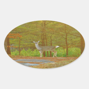 PEGATINA OVALADA DSCF4041.JPG