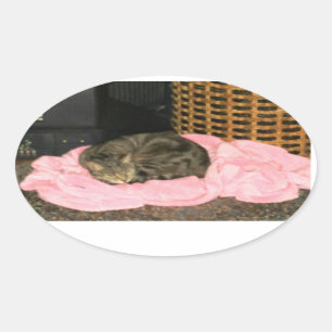 Pegatina Ovalada El altiplano del índigo