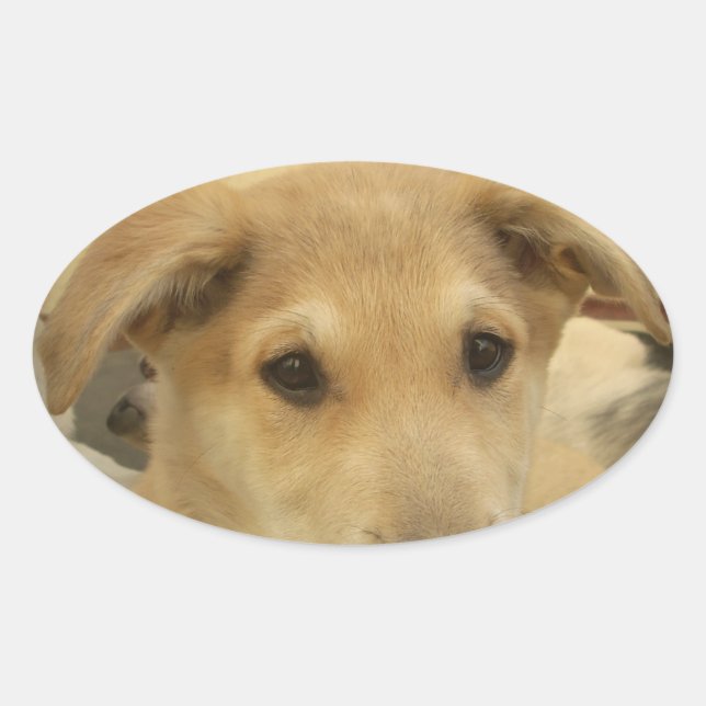 Pegatina Ovalada El amor de las pipas: El mejor amigo del hombre (Anverso)