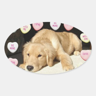 Pegatina Ovalada El día de San Valentín Golden Retriever