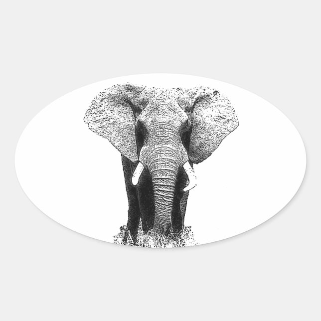 Pegatina Ovalada Elefante blanco y negro (Anverso)