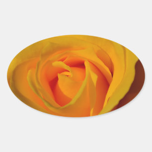 Pegatina Ovalada Elegante foto de rosa amarillo